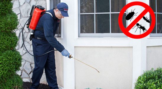 Karabağlar Kene İlaçlama böcek ilaçlama ve haşere kontrolü — ilaclama-tr.com